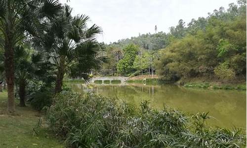 龙岗龙城公园乘车路线_龙岗龙城公园乘车路