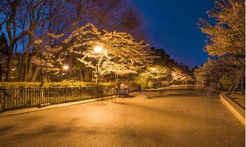 青岛中山公园晚上_青岛中山公园晚上几点关