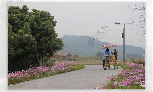 漳州郊野公园怎么进去最方便_漳州郊野公园