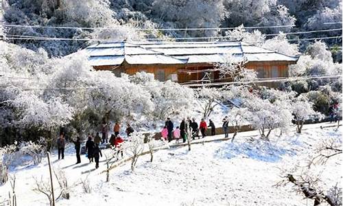 重庆旅游景点金佛山_重庆旅游景点金佛山路