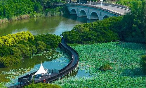 南沙湿地公园地铁站_南沙湿地公园地铁站是