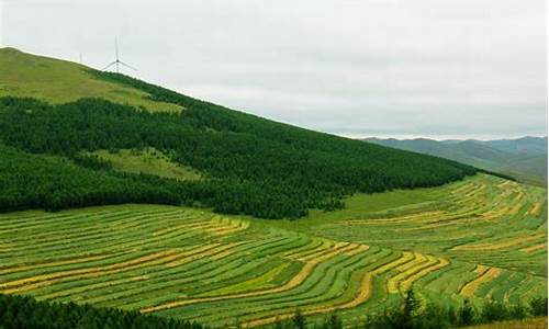 草原天路自驾游攻略 详细游记手稿(两次整理)简单概括_草原天