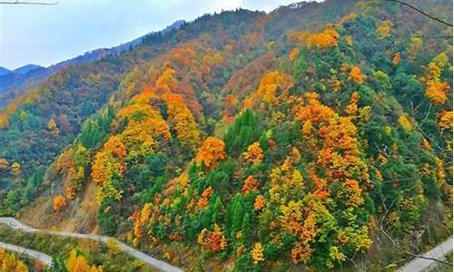 光雾山自然风景区_光雾山旅游攻略光雾山攻略