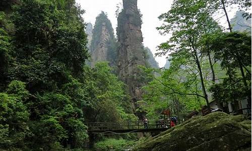 武汉到张家界自驾游攻略3天路线_武汉到张家界旅游攻略二日游