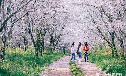 春季旅游地点_春季旅游攻略景点推荐一日游