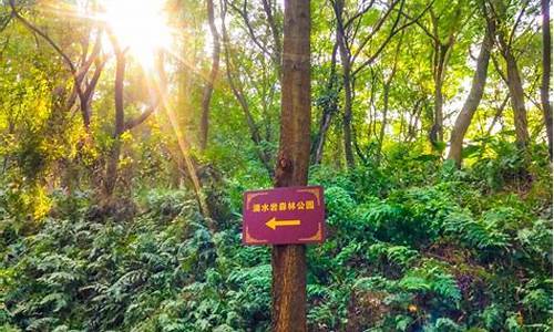 滴水岩森林公园门票_滴水岩森林公园门票多少钱